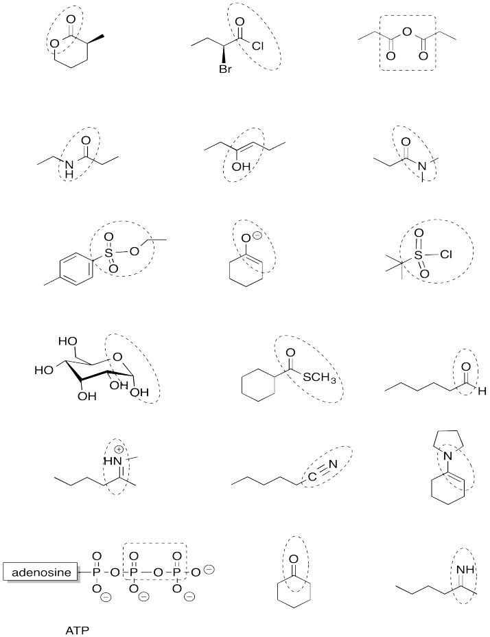 Nitrogen Functional Groups Organic Chemistry